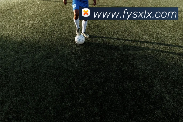 世界杯app平台服务体系